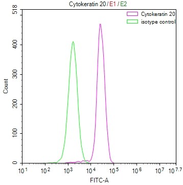 Cytokeratin 20 Antibody (17A11)