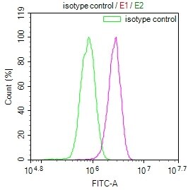 KLRG1 Antibody (8E11)