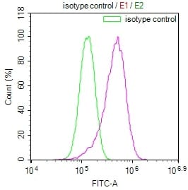 ISG15/UCRP Antibody (16D8)