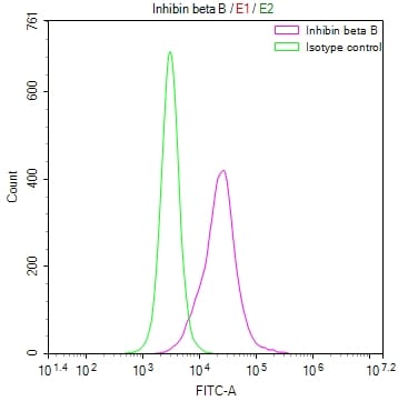 Inhibin beta B Antibody (34B10)