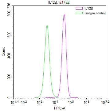 IL12B Antibody (10B10)