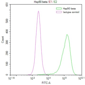HSP90 beta Antibody (7F4)