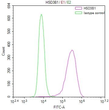 HSD3B1 Antibody (10G2)