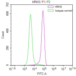 Histamine H3R Antibody (27H8)