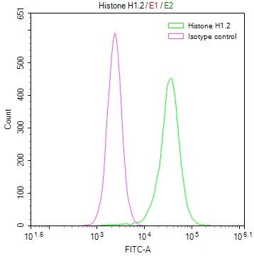 Histone H1.2 Antibody (16H4)