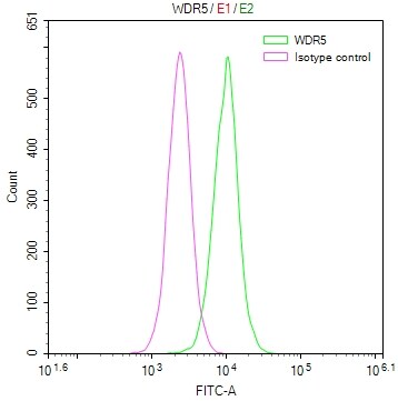 WDR5 Antibody (18D11)