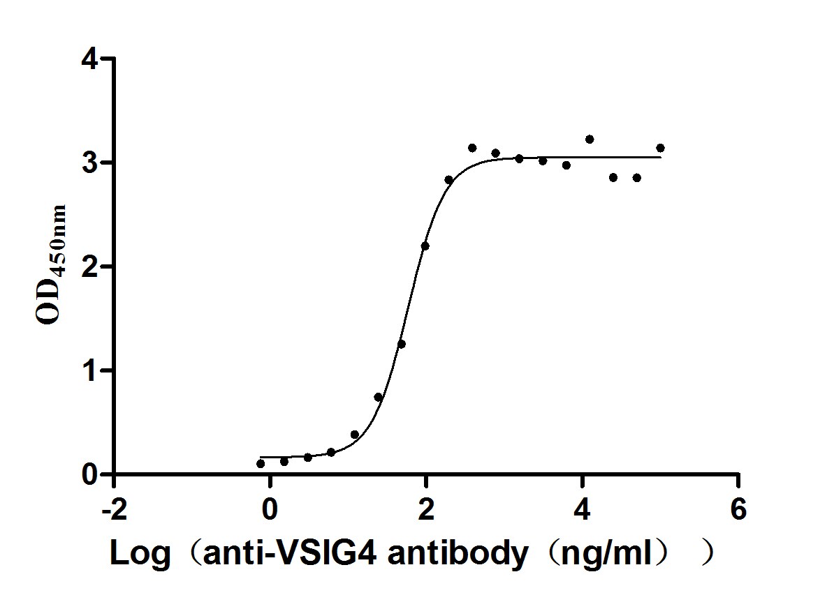 VSIG4 Antibody (12D12)