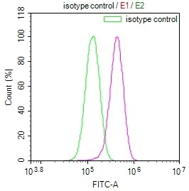 USP24 Antibody (11E3)