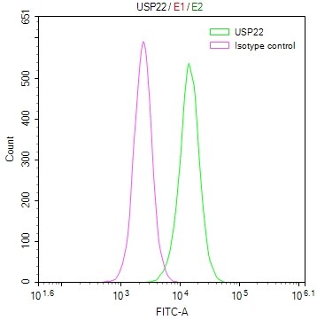 USP22 Antibody (18E3)