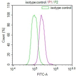 USP22 Antibody (18H6)
