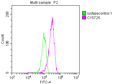 Topoisomerase I Antibody (6D8)