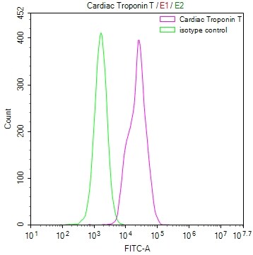 Troponin T Type 2 (cardiac) Antibody (8H8)