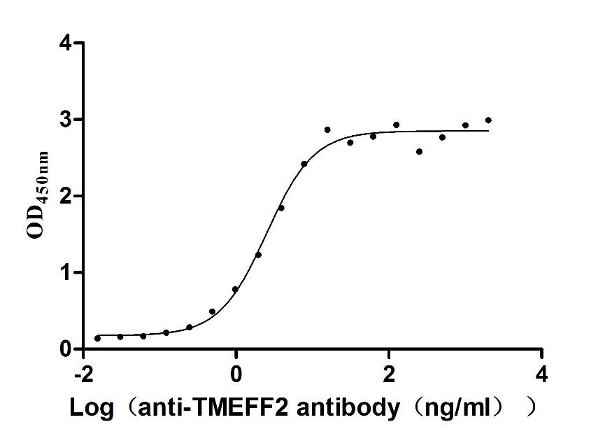 TMEFF2/Tomoregulin-2 Antibody (6G6)