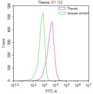 Themis Antibody (7G7)