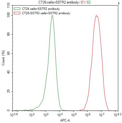Somatostatin R2/SSTR2 Antibody (7A9)