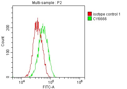 SOD1/Cu-Zn SOD Antibody (3E5)