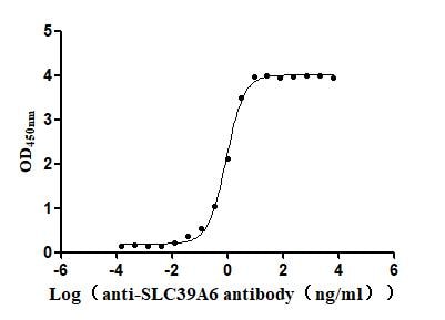 LIV-1/Zip6 Antibody (13F1)