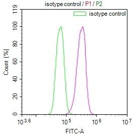 SENP1 Antibody (25H2)