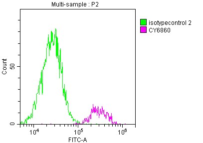 SDHB Antibody (7D12)