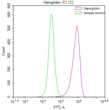 Uteroglobin/SCGB1A1 Antibody (21B2)