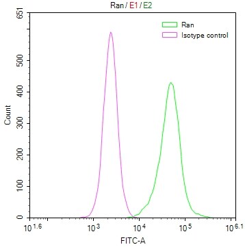 Ran Antibody (15A8)