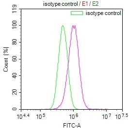 Rab27a Antibody (2E8)