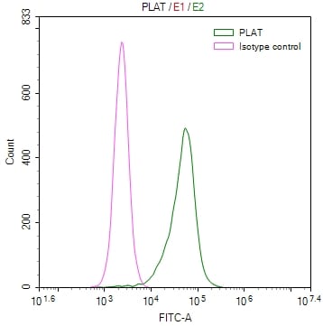 t-Plasminogen Activator/tPA Antibody (32B1)