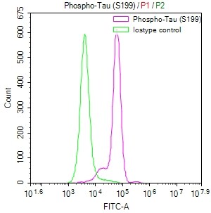 Tau [p Ser199] Antibody (23E8)