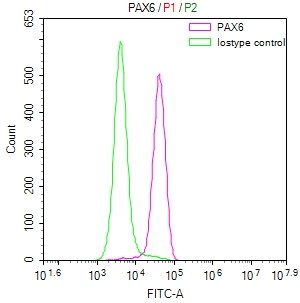 Pax6 Antibody (22C3)