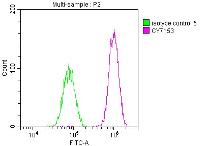 PAK2 Antibody (6D12)