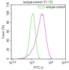 NTH1 Antibody (22H10)