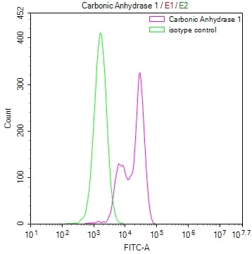 Carbonic Anhydrase I/CA1 Antibody (26E3)