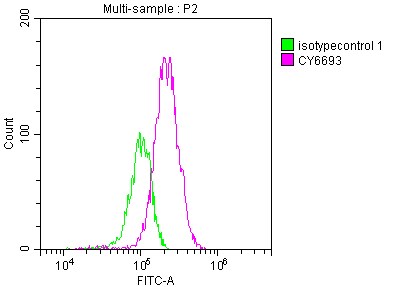 Complement C3 Antibody (4D12)