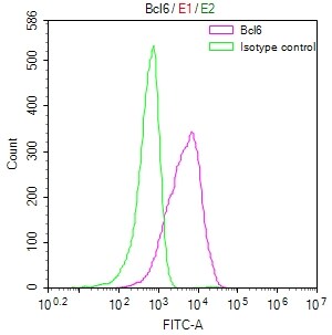 Bcl-6 Antibody (6E3)