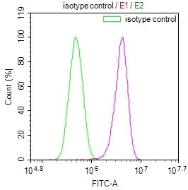 ARG2 Antibody (9A4)