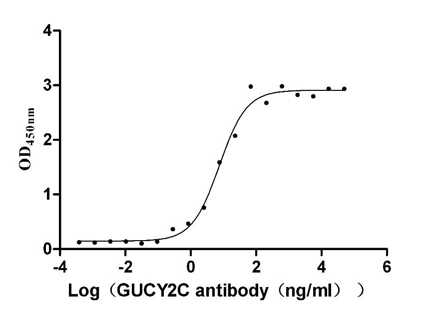 GUCY2C Antibody (2E5)