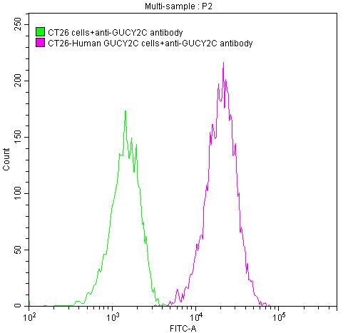 GUCY2C Antibody (2E5)