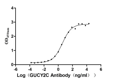 GUCY2C Antibody (4G12)