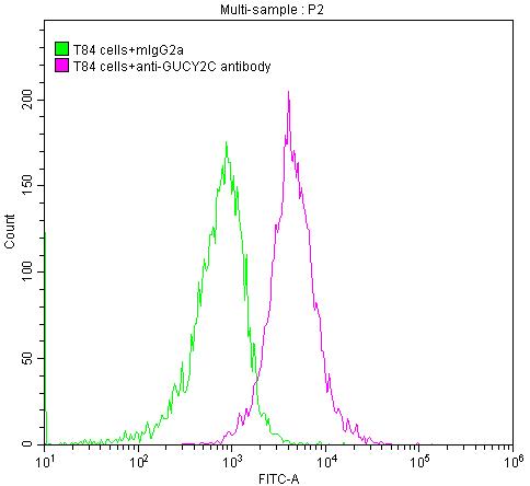 GUCY2C Antibody (4G12)