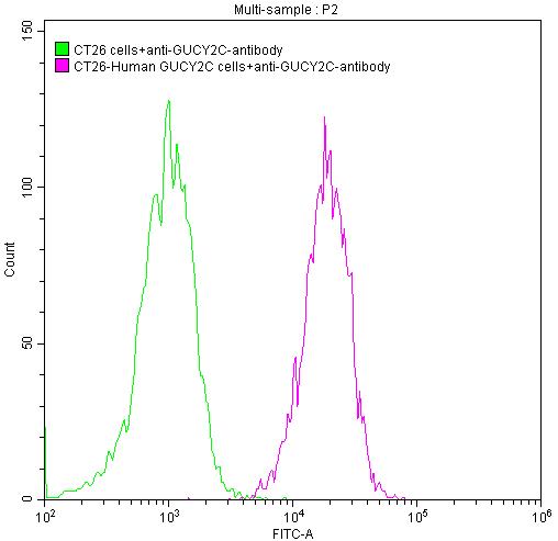 GUCY2C Antibody (4G12)
