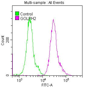 GOLM1 Antibody (9C2)