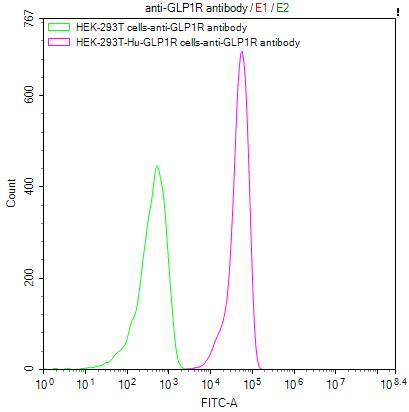 GLP-1R Antibody (7H7)