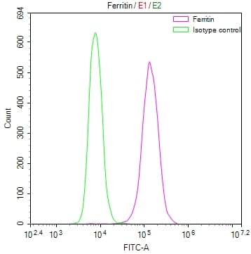 Ferritin Antibody (39G3)
