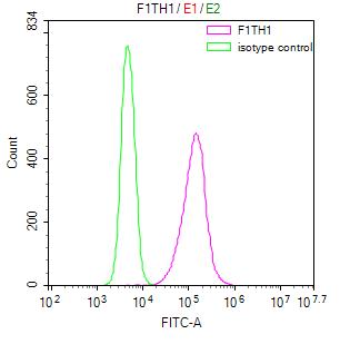 Ferritin Antibody (12H1)