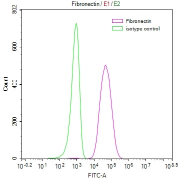 Fibronectin Antibody (25A1)