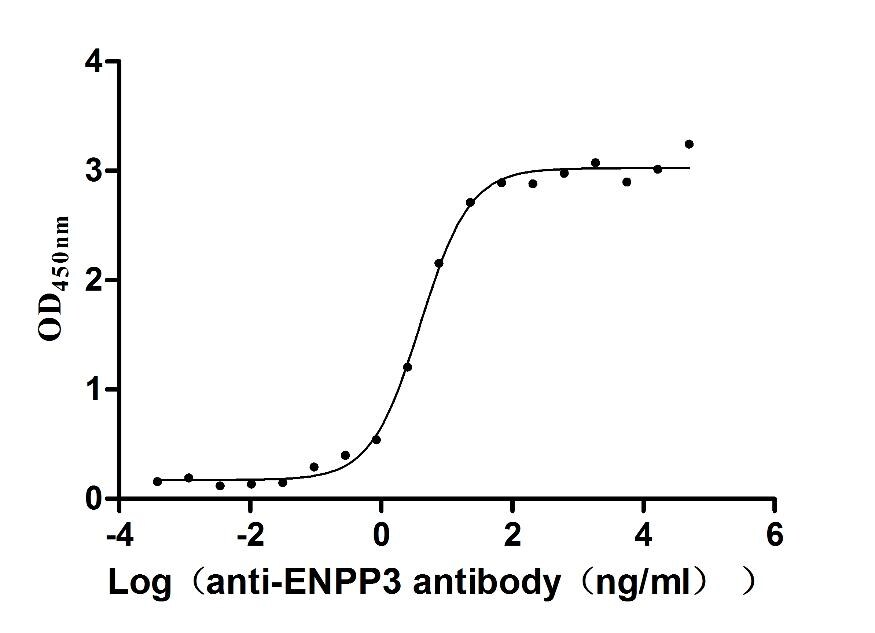ENPP-3/CD203c Antibody (3B2)
