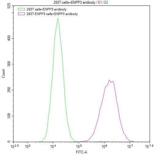 ENPP-3/CD203c Antibody (3B2)