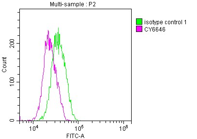 Neutrophil Elastase/ELA2 Antibody (2H12)