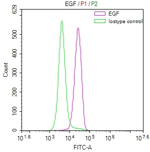 EGF Antibody (18B12)