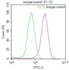 E2F-4 Antibody (24E12)